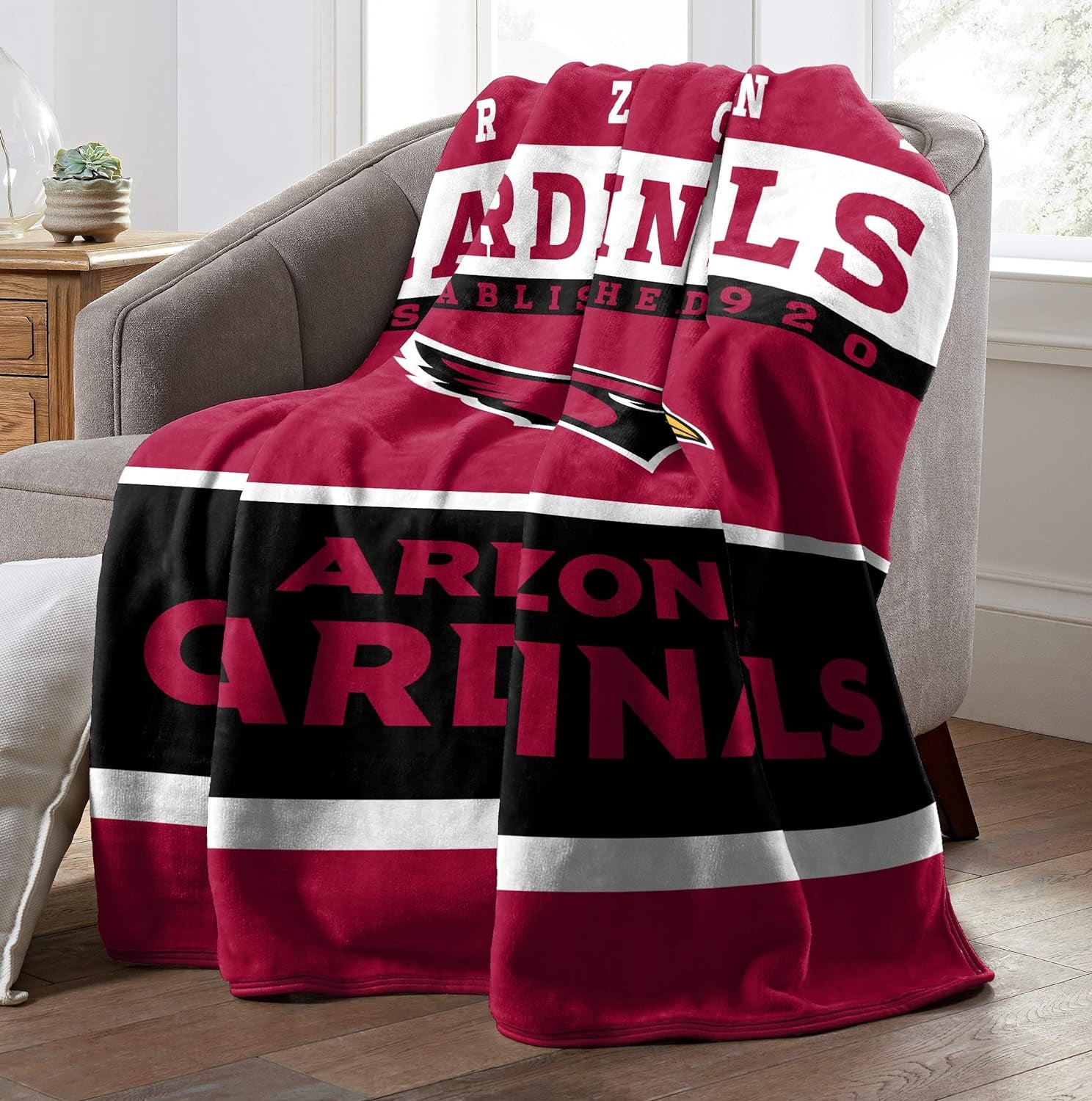 NFL Arizona Cardinals Unisex-Adult Raschel Throw Blanket, 60" X 80", 12Th Man